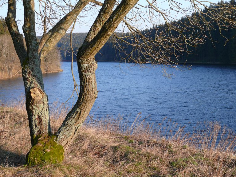 Stausee vor dem Haus